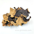 high quality Black Fungus With White Back